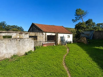 Quinta T3 para Venda em Lousa