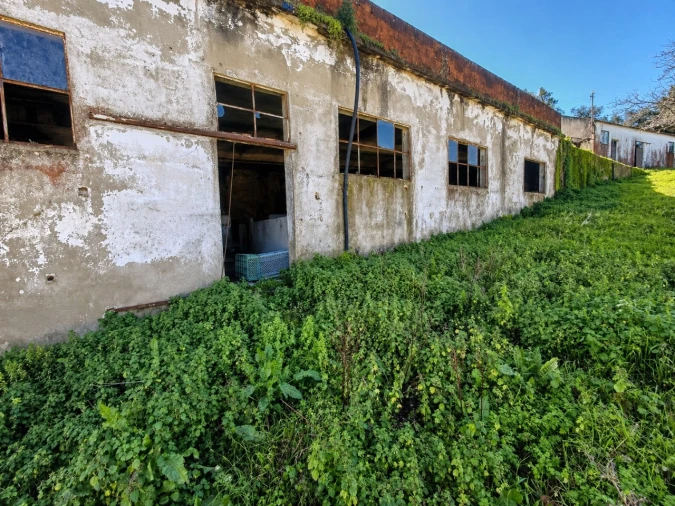 Quinta T3 para Venda em Lousa Foto 15