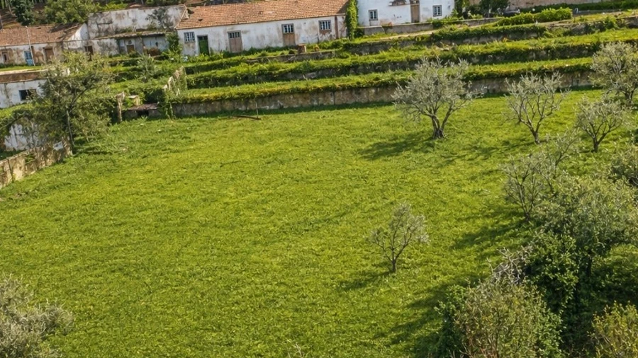 Quinta T3 para Venda em Lousa
