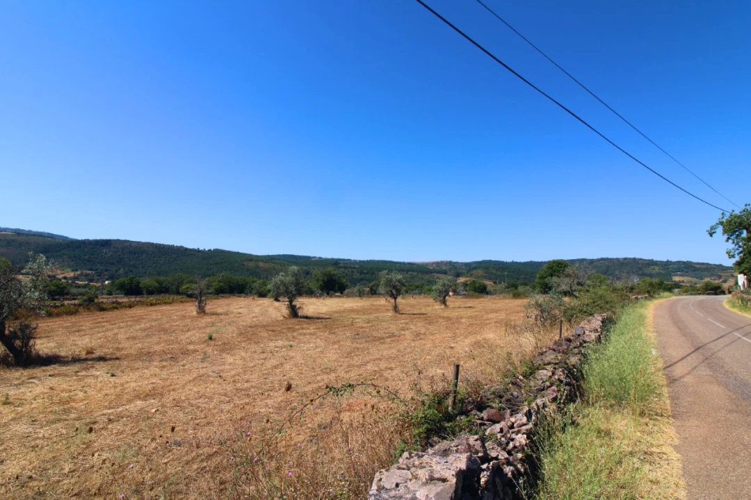 Terreno para Venda em São Salvador da Aramenha Foto 3