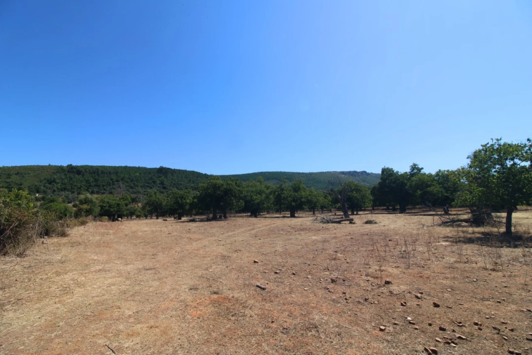 Terreno para Venda em São Salvador da Aramenha Foto 5