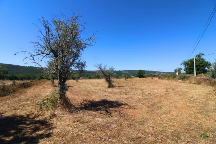 Terreno para Venda em São Salvador da Aramenha Foto 4