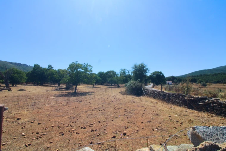 Terreno para Venda em São Salvador da Aramenha Foto 6