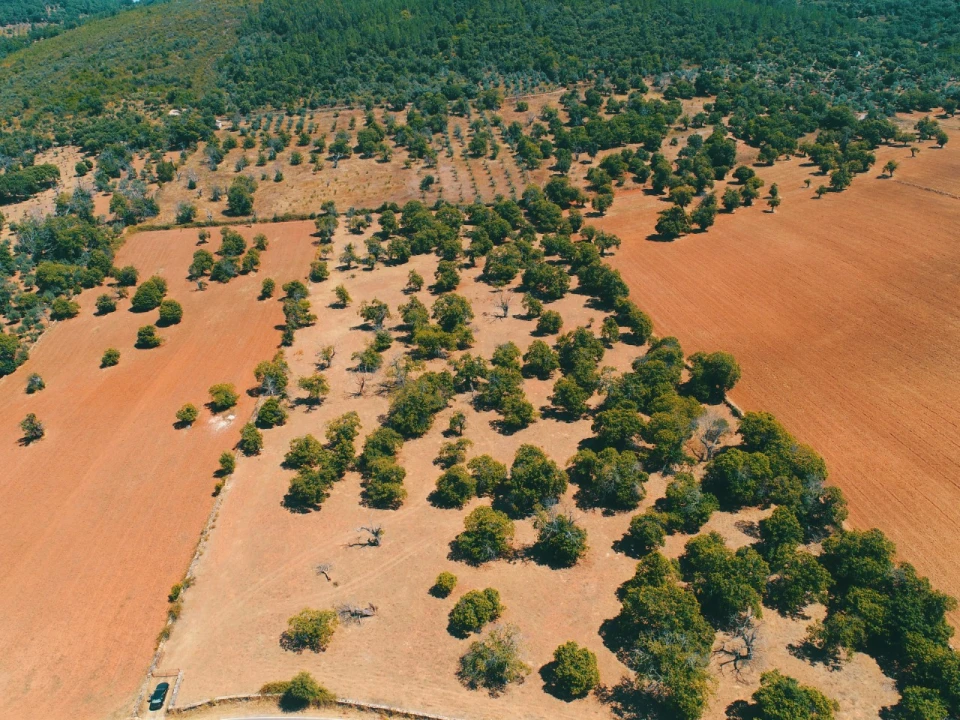 Terreno para Venda em São Salvador da Aramenha Foto 1