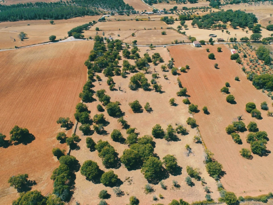 Terreno para Venda em São Salvador da Aramenha Foto 2