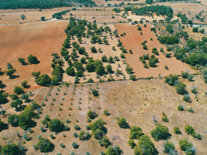 Terreno para Venda em São Salvador da Aramenha Foto 3