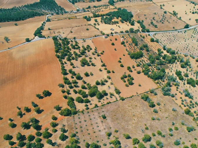 Terreno para Venda em São Salvador da Aramenha Foto 4