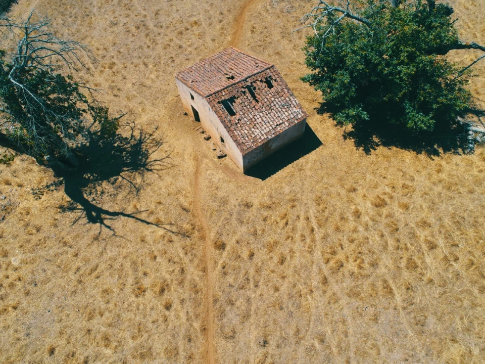 Terreno para Venda em São Salvador da Aramenha Foto 6