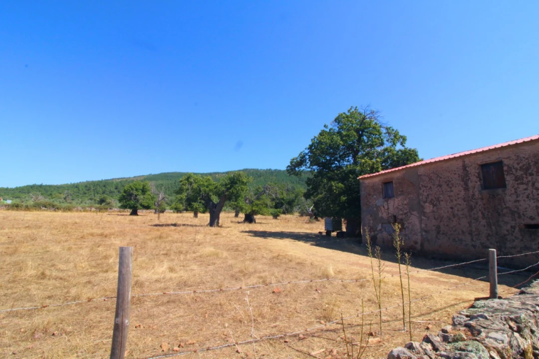 Terreno para Venda em São Salvador da Aramenha Foto 7