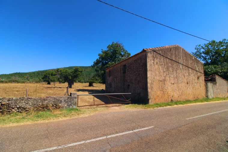 Terreno para Venda em São Salvador da Aramenha Foto 4