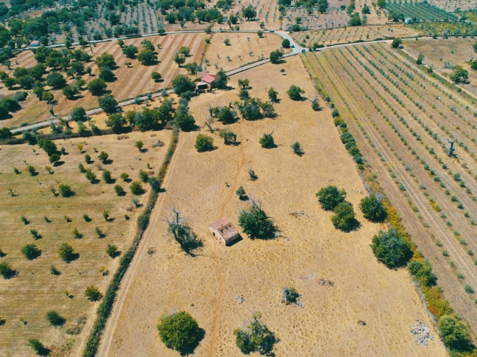 Terreno para Venda em São Salvador da Aramenha Foto 5