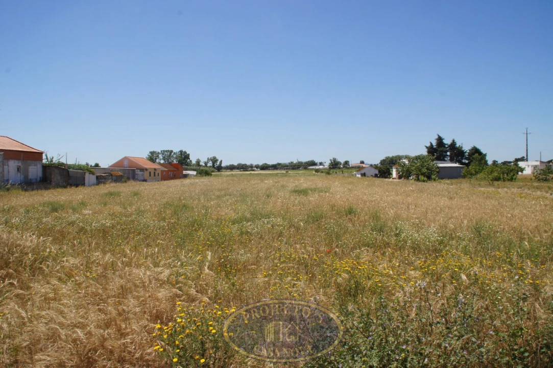 Terreno Agricola ou Rústico para Venda em Alcochete Foto 1