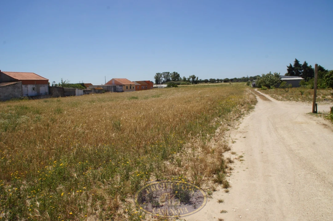 Terreno Agricola ou Rústico para Venda em Alcochete Foto 2