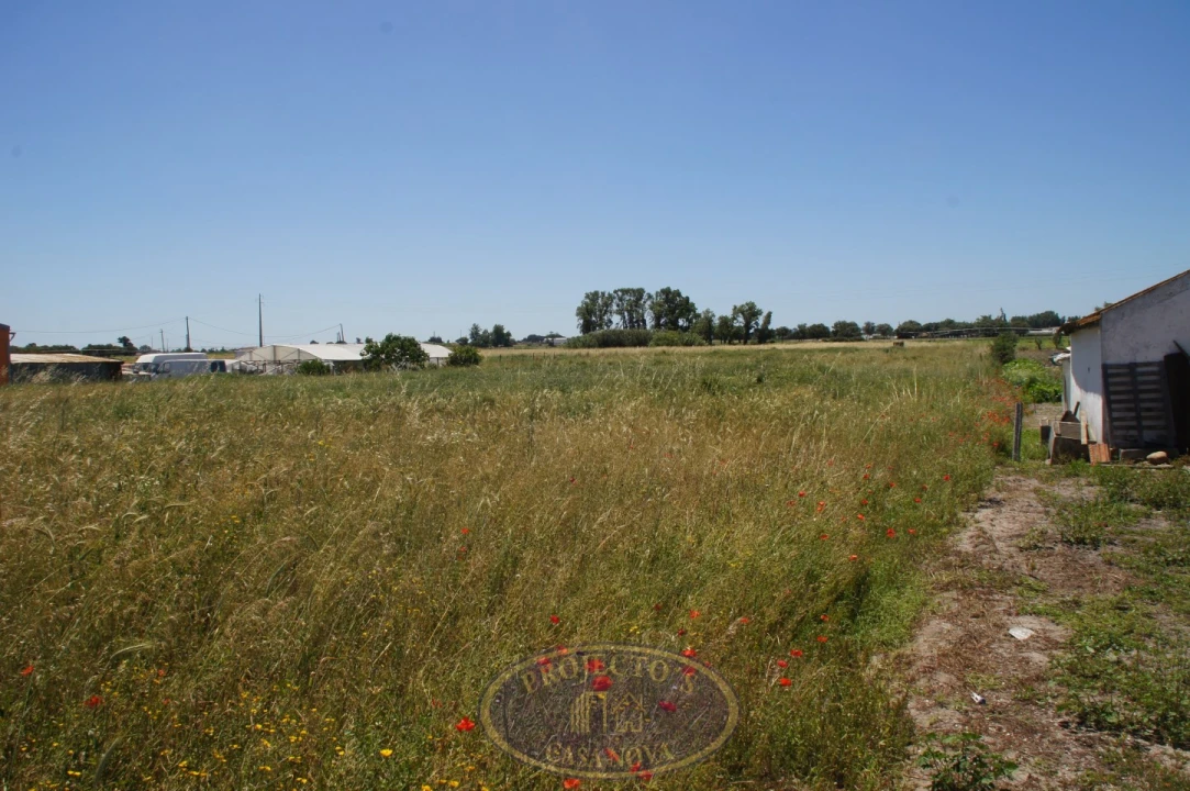 Terreno Agricola ou Rústico para Venda em Alcochete Foto 6