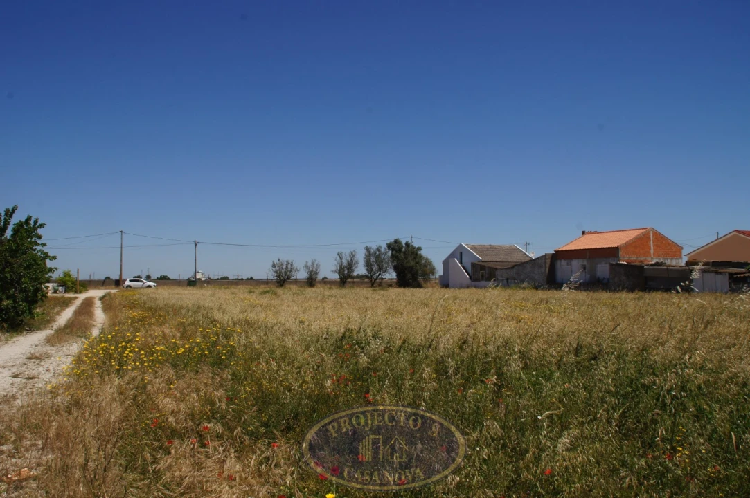 Terreno Agricola ou Rústico para Venda em Alcochete Foto 7