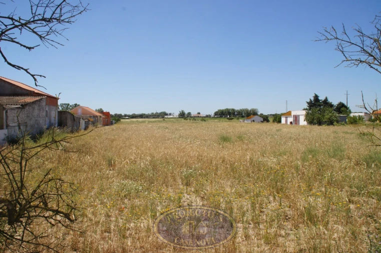 Terreno Agricola ou Rústico para Venda em Alcochete Foto 3