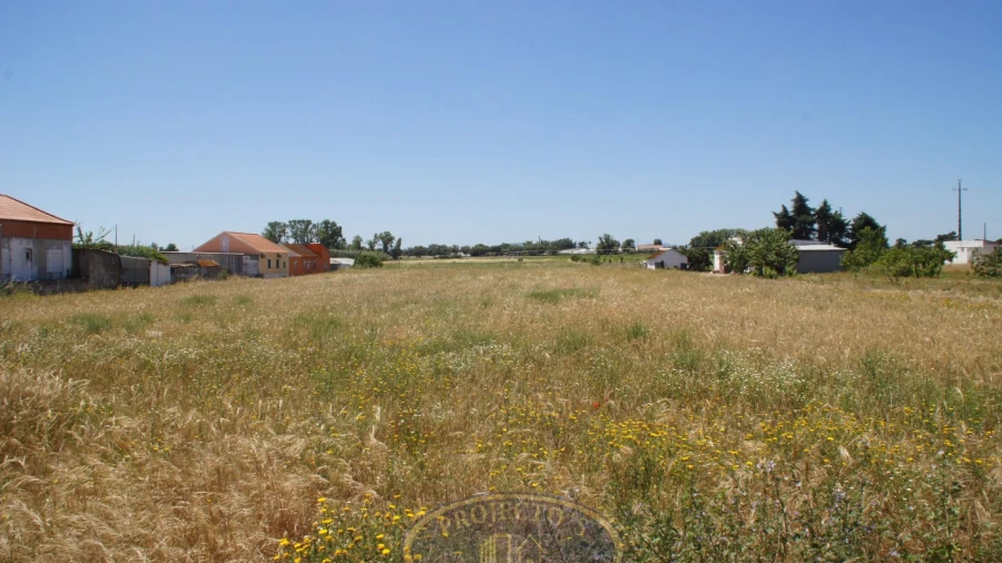 Terreno Agricola ou Rústico para Venda em Alcochete