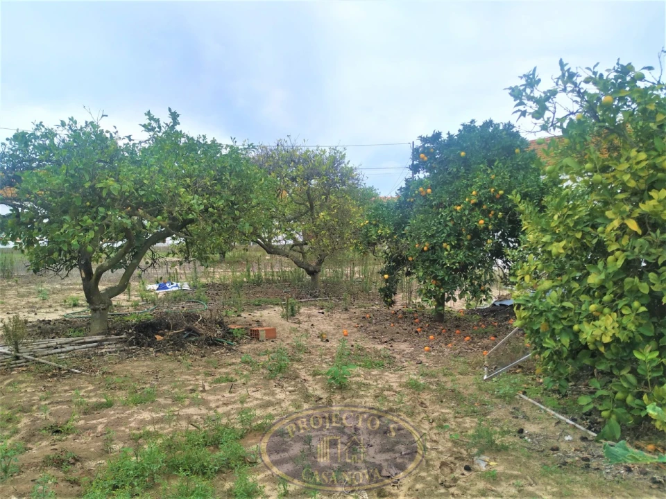 Terreno para Venda em Atalaia e Alto Estanqueiro-Jardia Foto 14