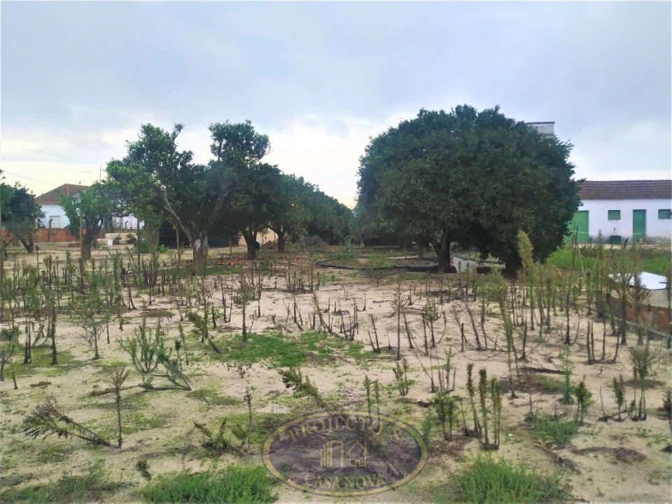 Terreno para Venda em Atalaia e Alto Estanqueiro-Jardia Foto 15