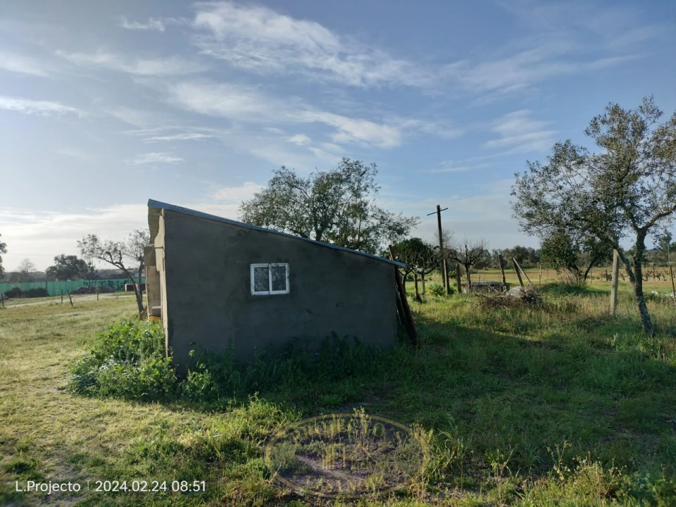 Terreno Agricola ou Rústico para Venda em Biscainho Foto 5