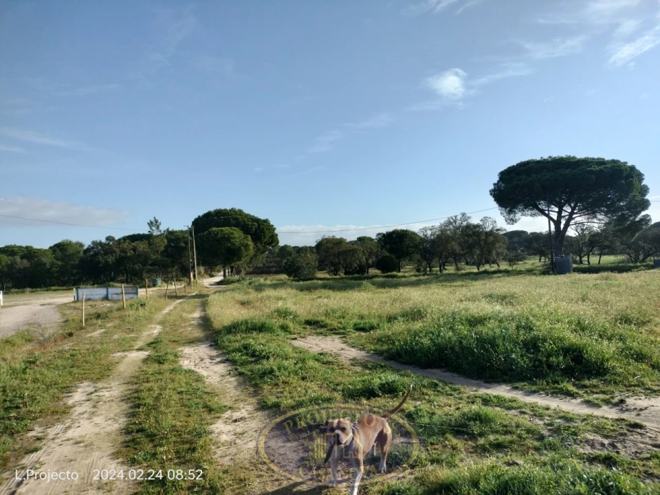 Terreno Agricola ou Rústico para Venda em Biscainho Foto 10