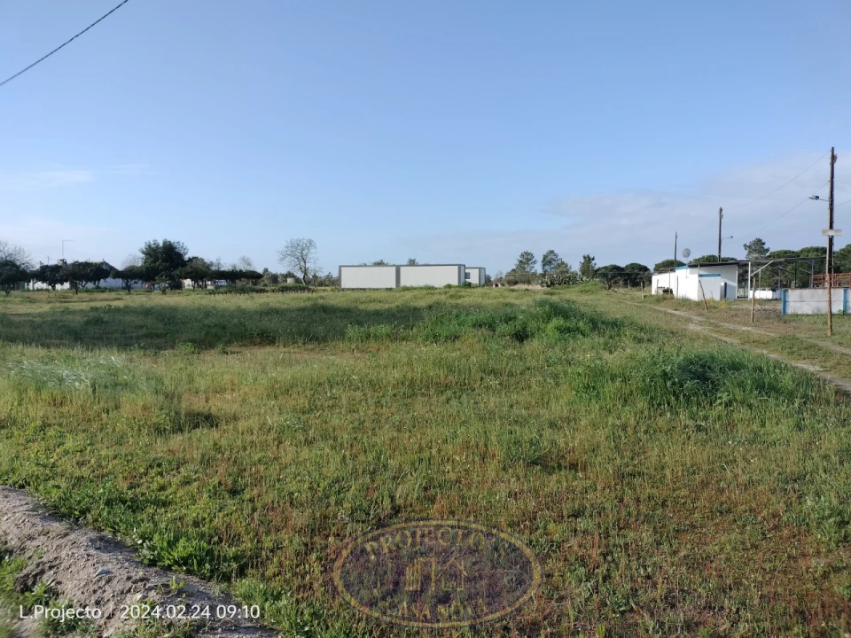 Terreno Agricola ou Rústico para Venda em Biscainho Foto 12