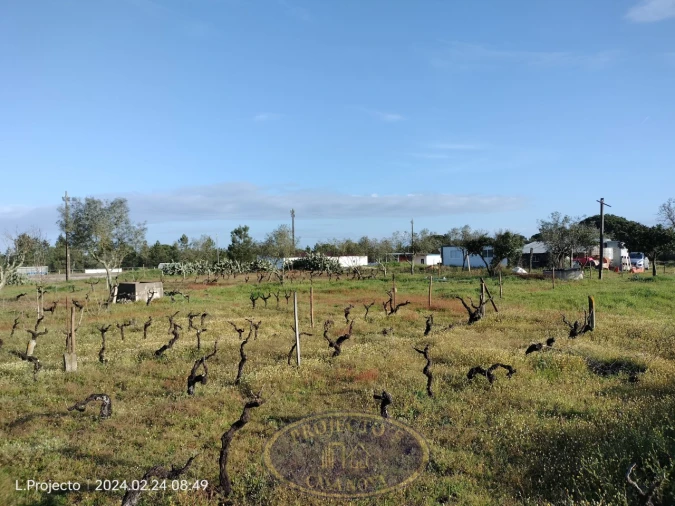 Terreno Agricola ou Rústico para Venda em Biscainho Foto 7