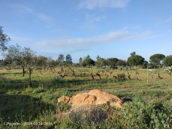 Terreno Agricola ou Rústico para Venda em Biscainho Foto 8