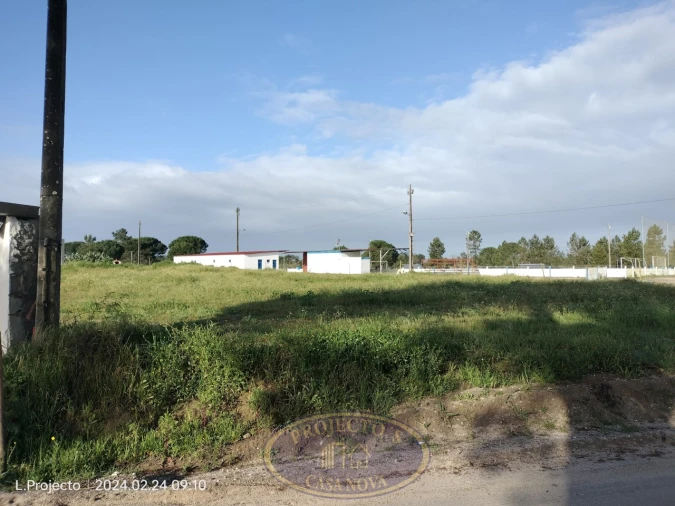 Terreno Agricola ou Rústico para Venda em Biscainho Foto 11