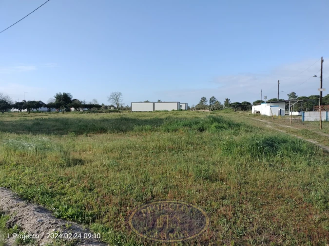 Terreno Agricola ou Rústico para Venda em Biscainho Foto 12