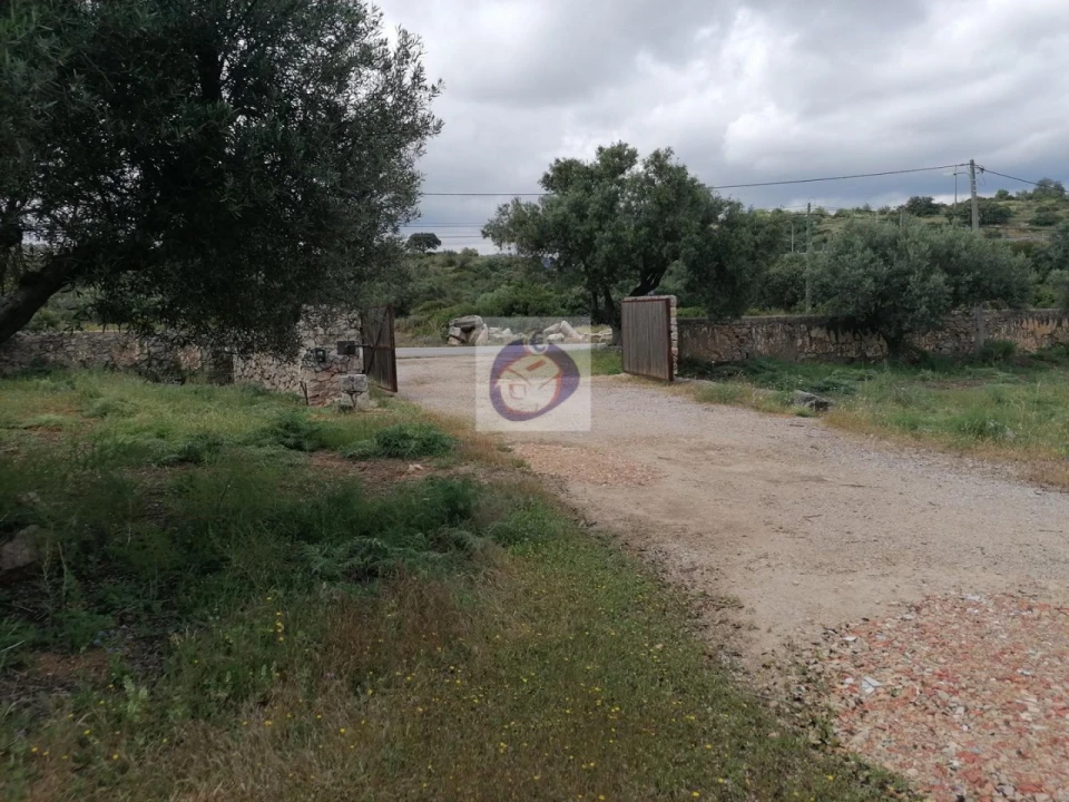 Armazém para Venda em Conceição e Estoi Foto 6