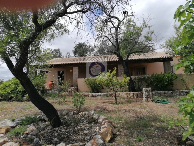 Armazém para Venda em Conceição e Estoi Foto 8