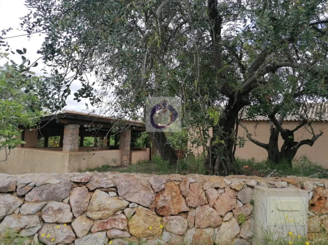 Armazém para Venda em Conceição e Estoi Foto 15