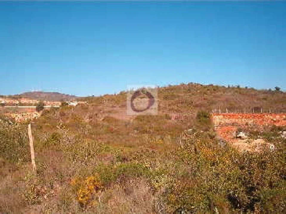 Terreno Agricola ou Rústico para Venda em Moncarapacho e Fuseta Foto 2