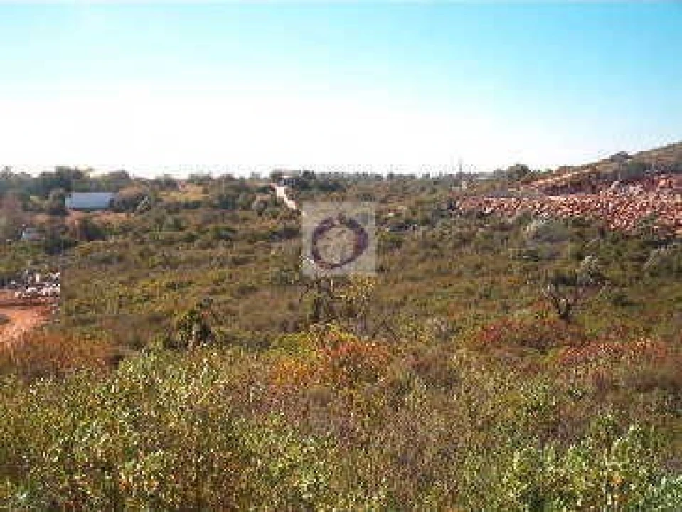 Terreno Agricola ou Rústico para Venda em Moncarapacho e Fuseta Foto 4