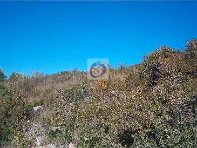Terreno Agricola ou Rústico para Venda em Moncarapacho e Fuseta Foto 3