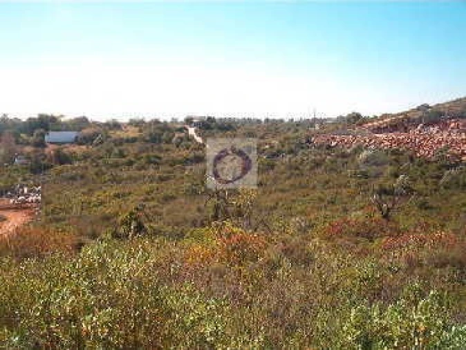 Terreno Agricola ou Rústico para Venda em Moncarapacho e Fuseta Foto 4