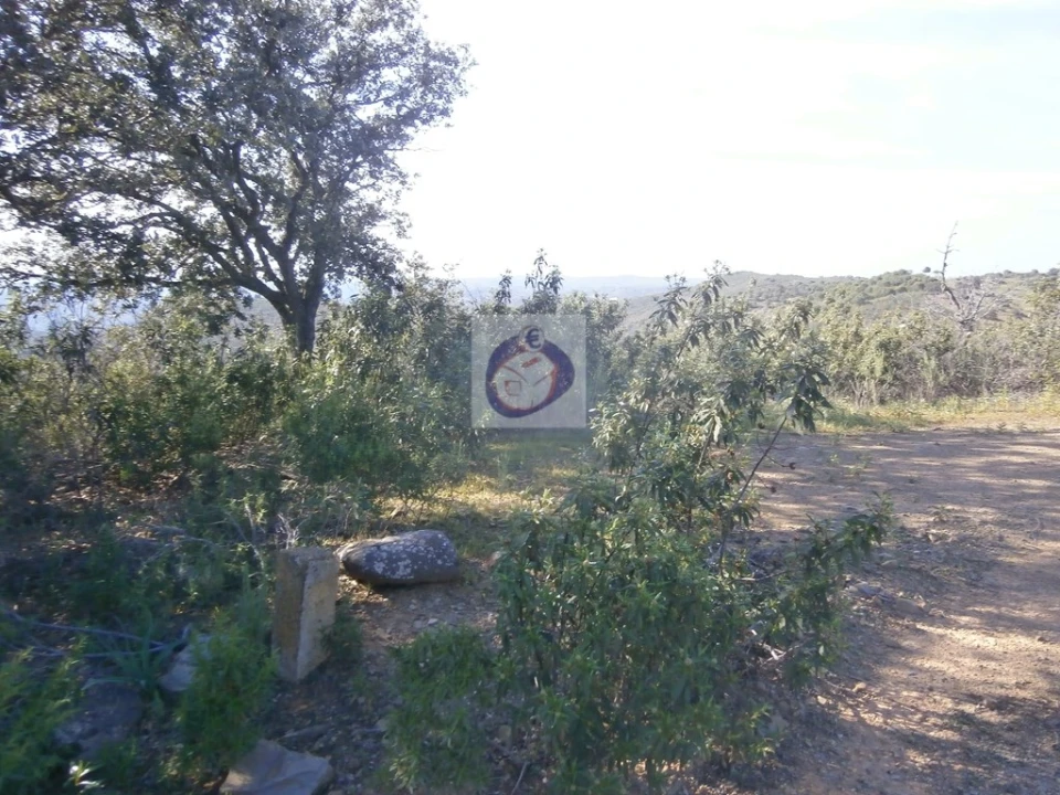 Terreno para Venda em Alcoutim e Pereiro Foto 11