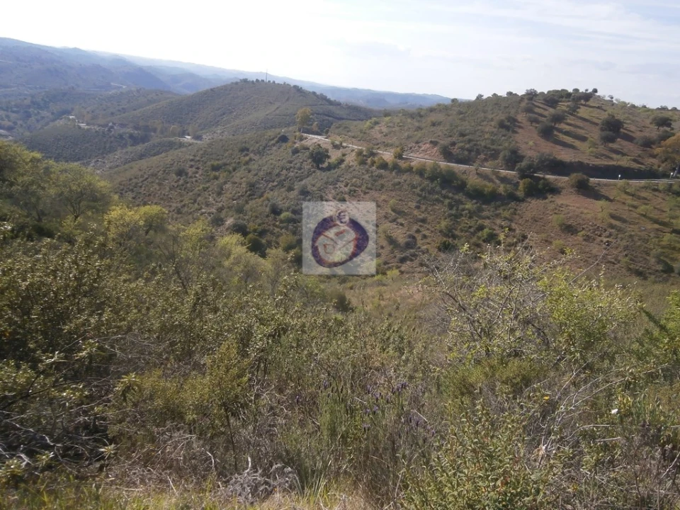 Terreno para Venda em Alcoutim e Pereiro Foto 12