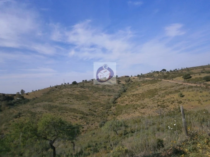 Terreno para Venda em Alcoutim e Pereiro Foto 4