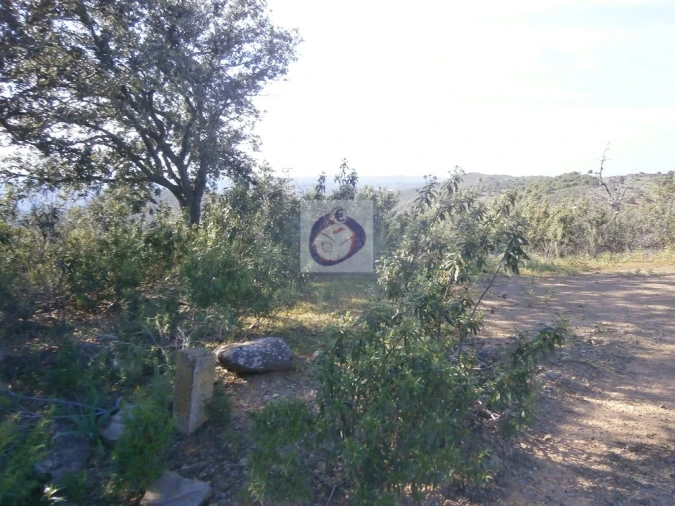 Terreno para Venda em Alcoutim e Pereiro Foto 11