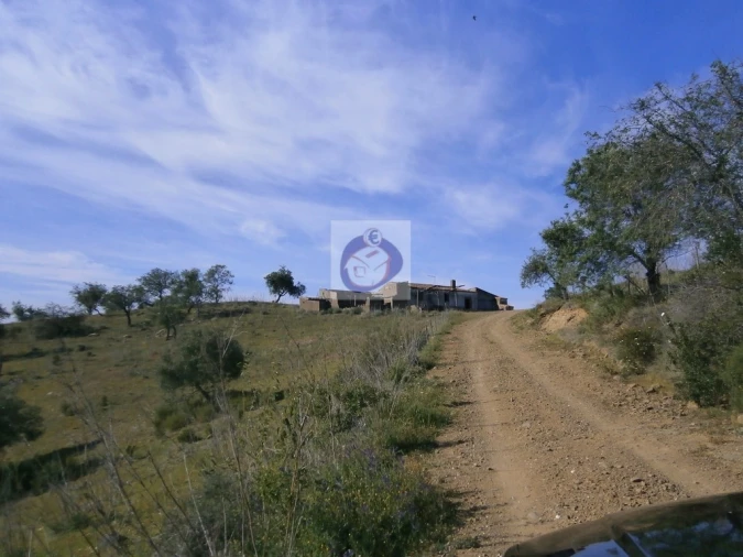 Terreno para Venda em Alcoutim e Pereiro Foto 13