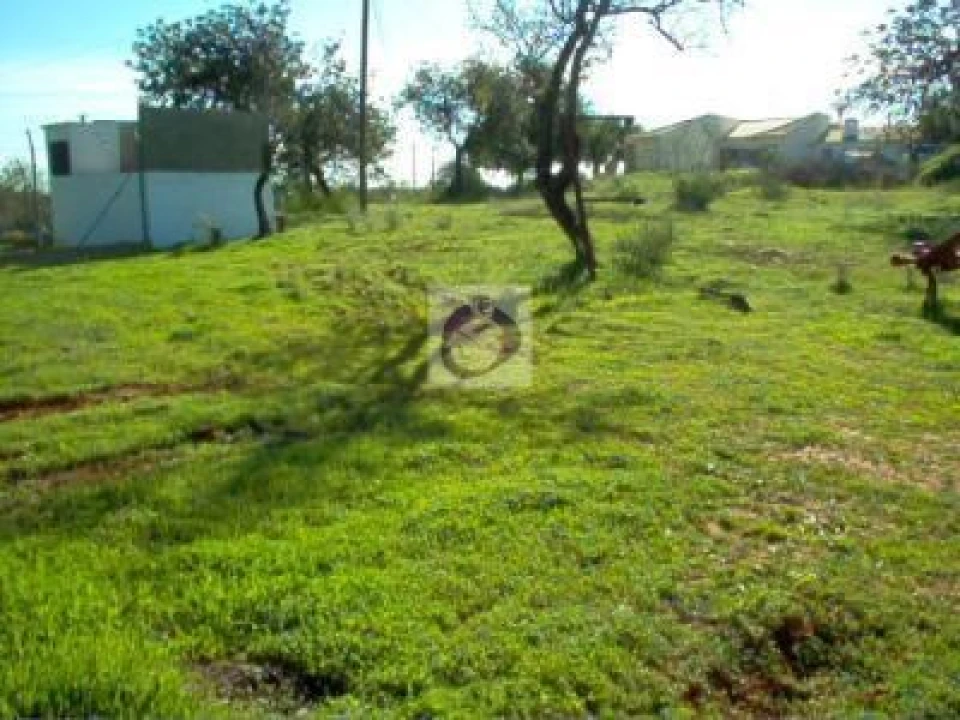 Terreno Agricola ou Rústico para Venda em Quelfes Foto 2