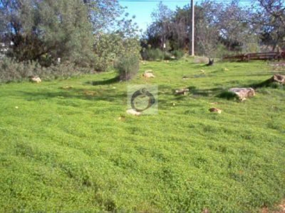 Terreno Agricola ou Rústico para Venda em Quelfes Foto 3