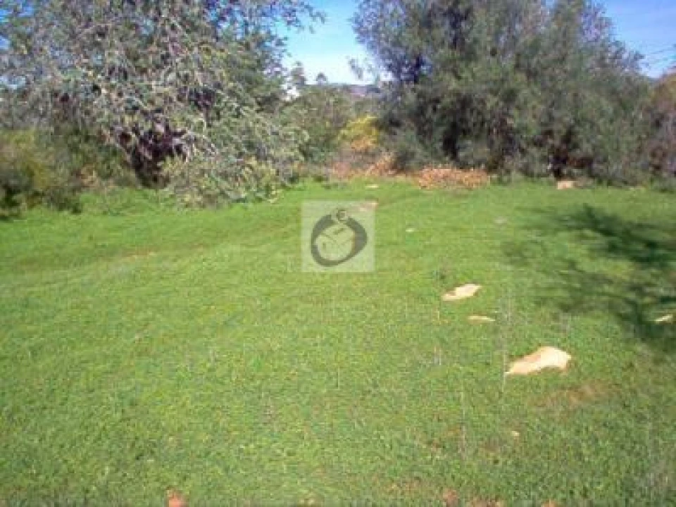 Terreno Agricola ou Rústico para Venda em Quelfes Foto 4