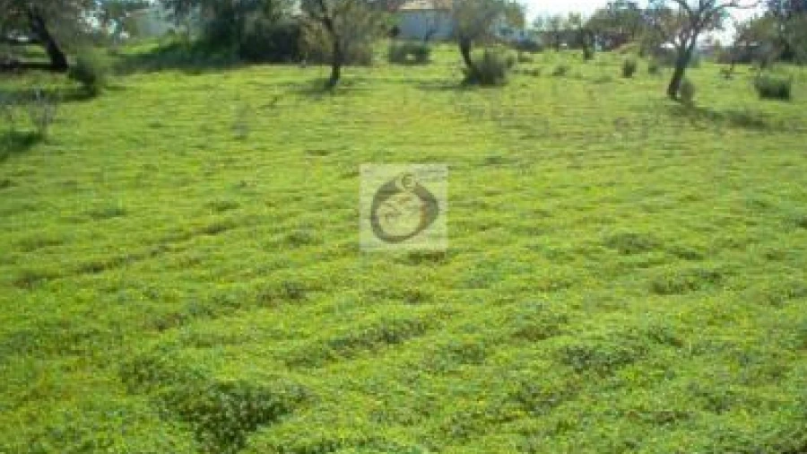 Terreno Agricola ou Rústico para Venda em Quelfes