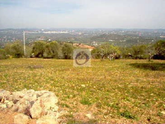 Terreno Agricola ou Rústico para Venda em Conceição e Estoi
