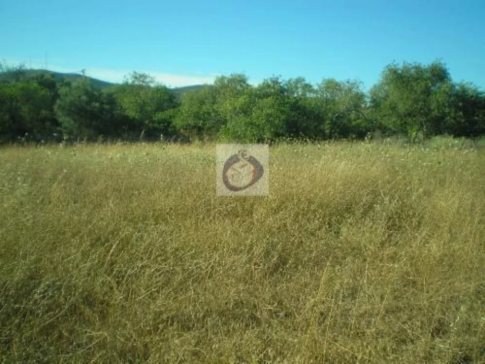 Terreno Agricola ou Rústico para Venda em Moncarapacho e Fuseta Foto 3