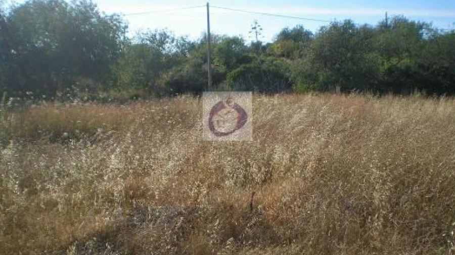 Terreno Agricola ou Rústico para Venda em Moncarapacho e Fuseta