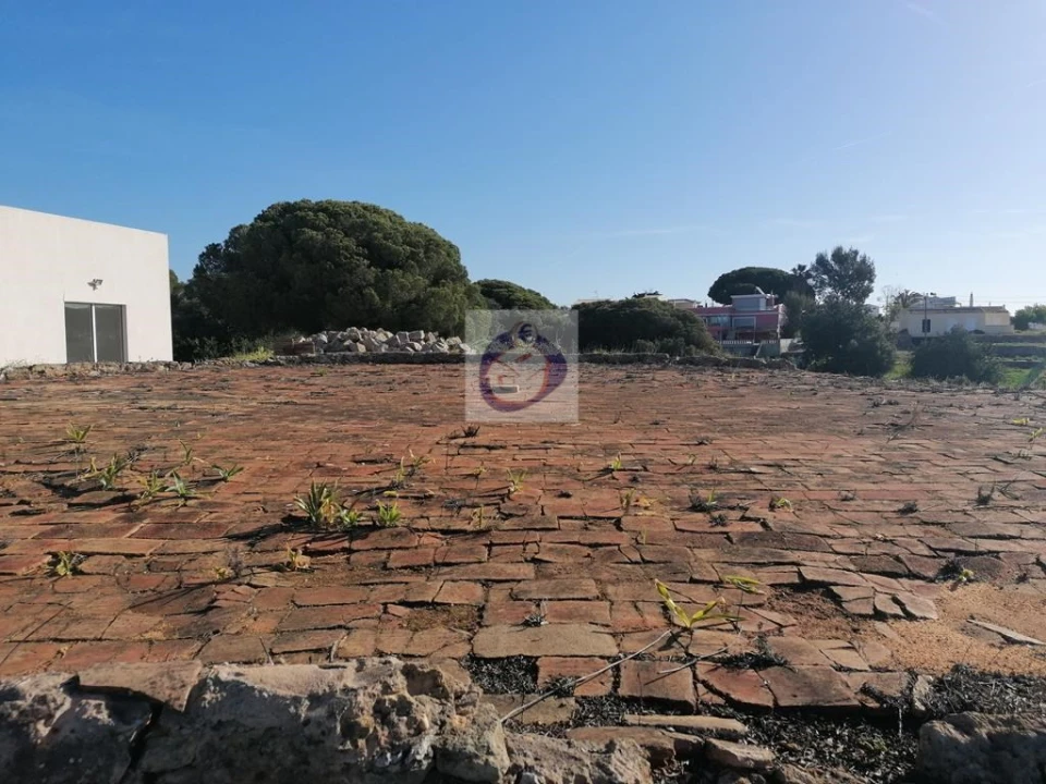 Quinta para Venda em Moncarapacho e Fuseta Foto 9